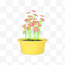 3D立体植物小花盆栽牵牛花