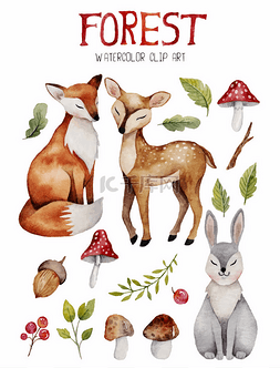 美丽的兔子图片_与可爱的森林元素水彩剪贴画.