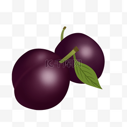 水果写实画图片_两个写实的紫红色李子剪贴画