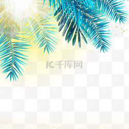 阳光照射下图片_阳光照射下的棕榈叶边框