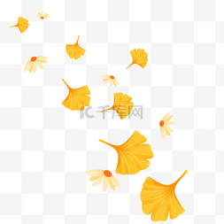 秋天漂浮树叶银杏叶