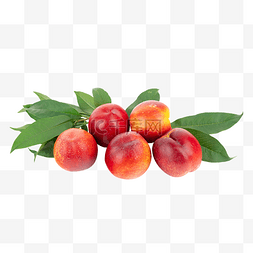 新鲜水果油桃