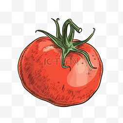 手绘西红柿图片_西红柿番茄卡通风格蔬菜图案