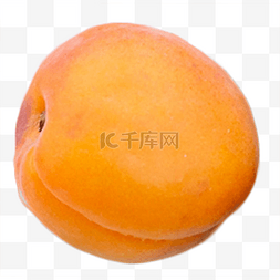 水果黄杏