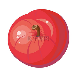 成熟的红苹果图片_孤立的红苹果。