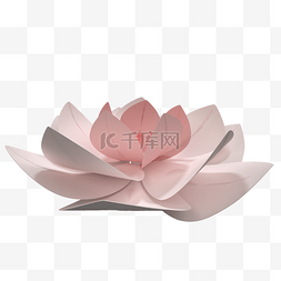 C4D粉色花朵模型