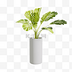 3D盆栽植物绿植C4D散尾葵