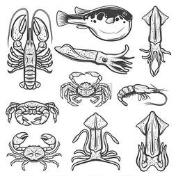 龙虾、螃蟹和虾、鱿鱼、墨鱼、河