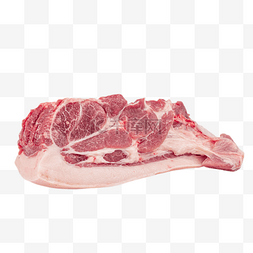 大型食肉动物图片_猪后座后腿肉