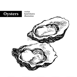牡蛎图片_手绘草图海鲜矢量黑白复古牡蛎插