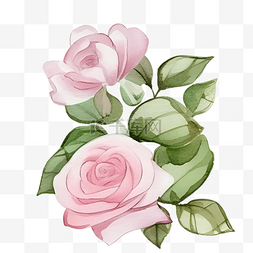 粉色盆栽图片_粉色玫瑰植物盆栽绿色卡通手绘