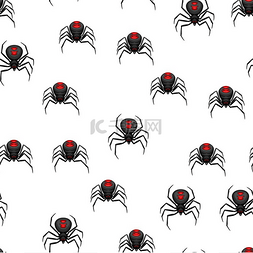 蜘蛛恐惧症图片_与黑寡妇蜘蛛的无缝模式。