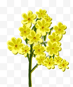 黄色花油画图片_油画棒黄色花卉花朵油菜花