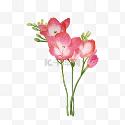 粉色婚礼背景设计图片_苍兰粉色花朵婚礼花卉
