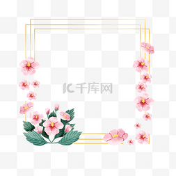 ?韩国图片_木槿花卉韩国金线方形边框