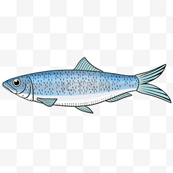 海鲜小鱼插画图片_鲱鱼蓝色的海底动物