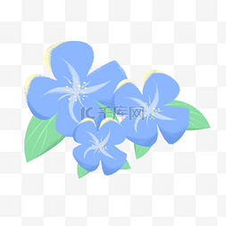 蓝色小清新植物图片_小清新油画棒水粉花卉花朵