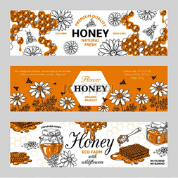 蜂蜜标签矢量素材图片_蜂蜜标签蜂窝和蜜蜂复古素描背景