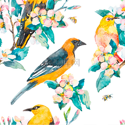 水彩手绘卡通鸟图片_春天的模式。花枝。黄鹂和绿绣眼