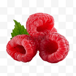 红色树莓图片_树莓植物自然食物