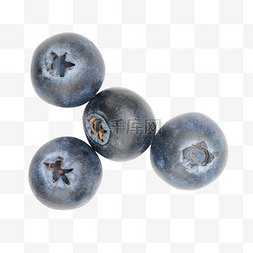 新鲜蓝莓浆果