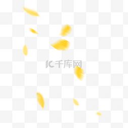 漂浮树叶黄色图片_秋天黄色模糊树叶