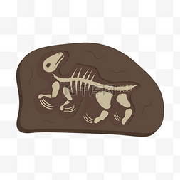 化石剪贴画卡通恐龙骨架