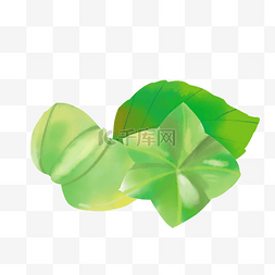 绿色印图片_绿色印加果植物