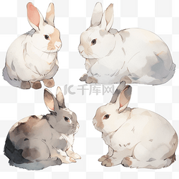 可爱水彩兔子图片_水彩兔子装饰贴纸白兔卡通可爱