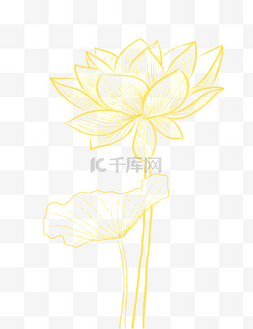 中式金箔图片_金箔线描夏天夏季荷花花朵花线条