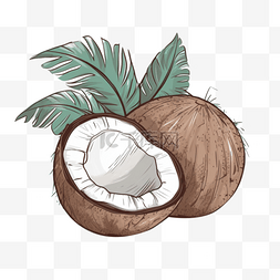 手绘插画风免抠元素椰子