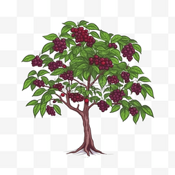 有根的果树图片_手绘插画风免抠元素果树
