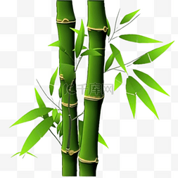 竹子绿图片_卡通手绘绿竹竹子