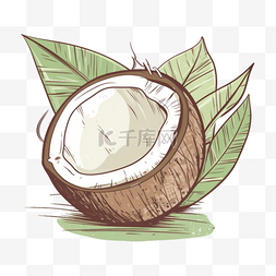 雨珠椰子图片_手绘插画风免抠元素椰子