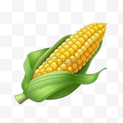 农家玉米棒图片_扁平卡通免抠图素材玉米