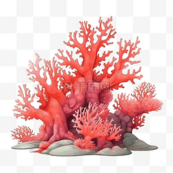 珊瑚插画图片_扁平卡通免抠图素材珊瑚