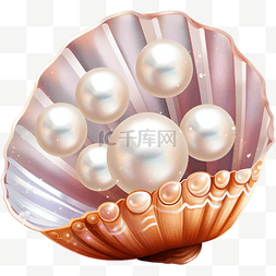 贝壳珍珠手绘图片_贝壳珍珠装饰元素