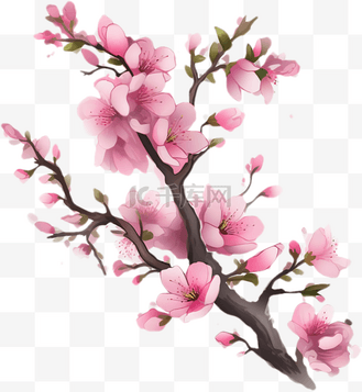 粉色樱花树枝手绘图片_粉色樱花树枝手绘素材-粉色樱花树枝手绘图片