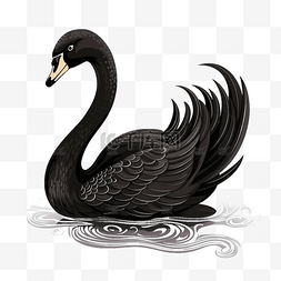 扁平卡通免抠图素材黑天鹅