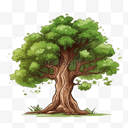 卡通手绘植物大树树木