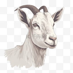 板角山羊图片_手绘插画风免抠元素山羊