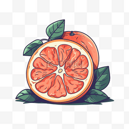 葡萄柚插画图片_手绘插画风免抠元素葡萄柚