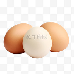 鸡蛋切面图片_卡通手绘营养食品鸡蛋