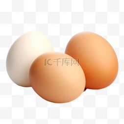 卡通手绘营养食品鸡蛋