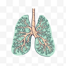 手绘插画风免抠元素肺部