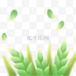 小满节气素材图片_弥散风小满麦子