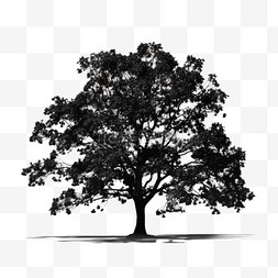 黑色大树树木剪影