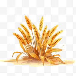 小麦糯米图片_卡通手绘金色小麦麦穗