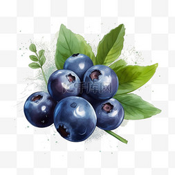 插画蓝莓图片_扁平卡通免抠图素材蓝莓