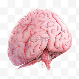 手绘人体器官医疗大脑